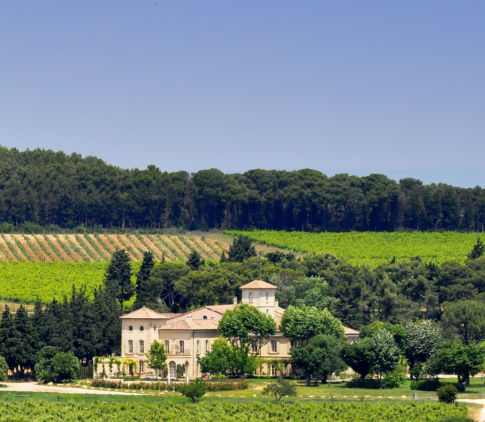 Chateau les vignes rental near avignon provence