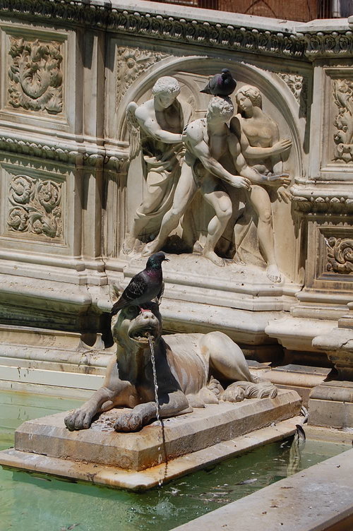 rsz siena fountain italy