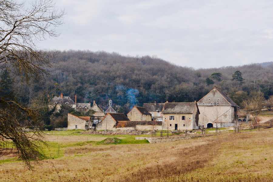 saint vincent wine festival burgundy